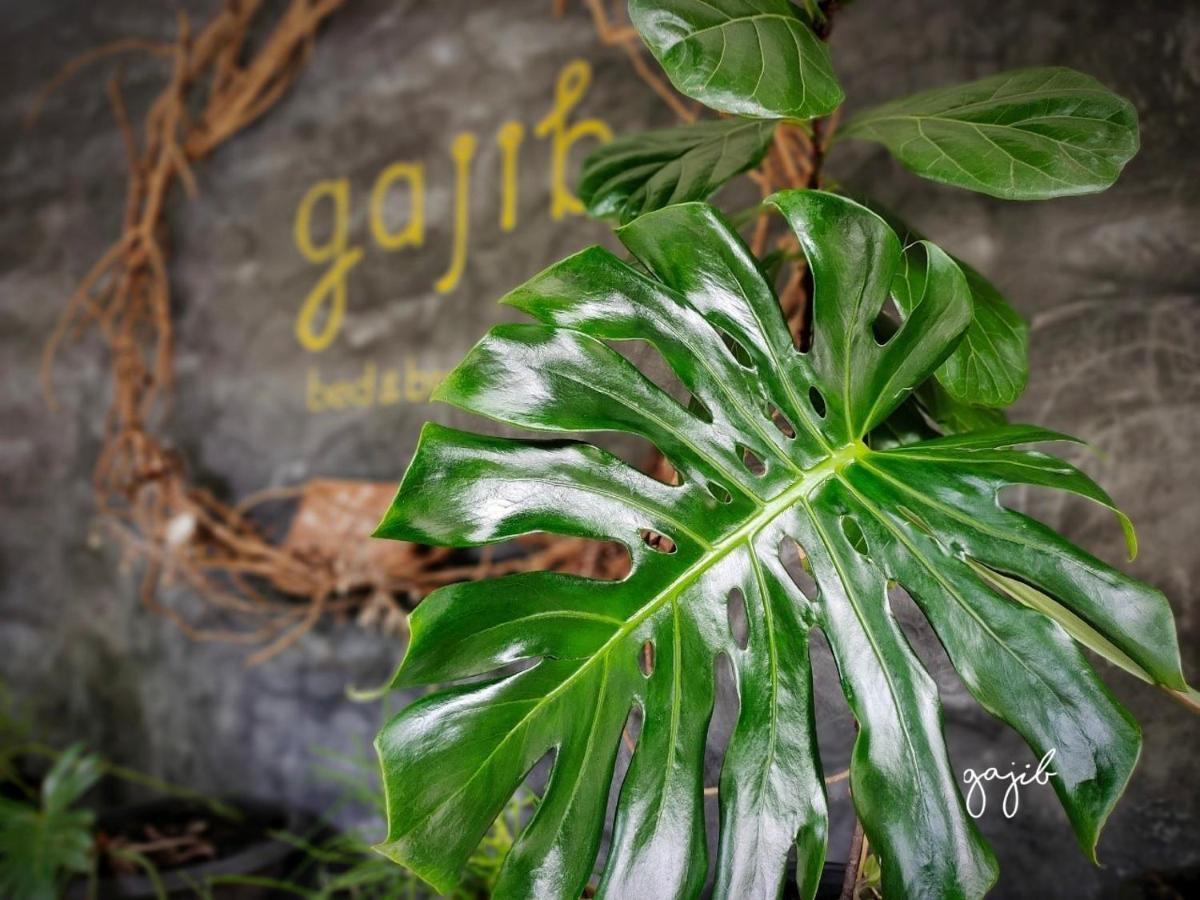 Gajib Bed&Breakfast Amphawa Exterior photo